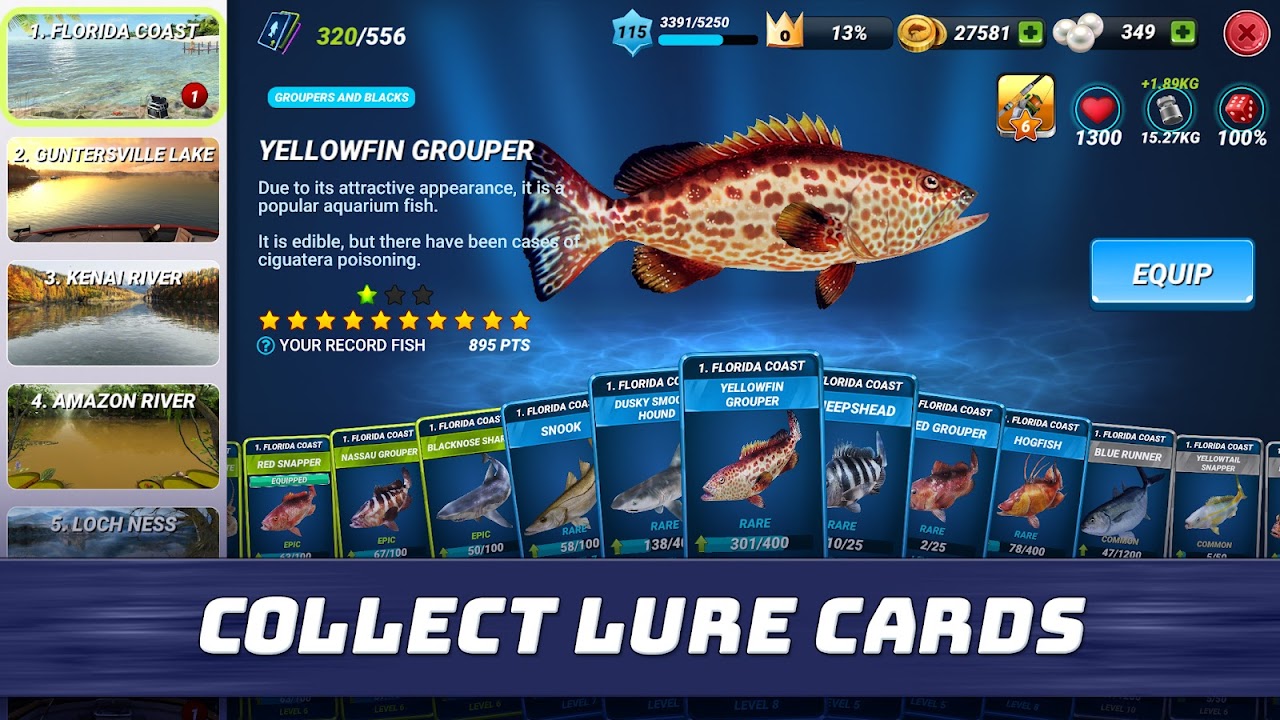 Gameplay